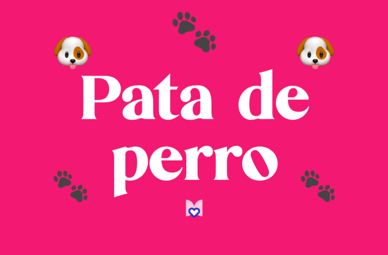 Pata de perro significado frase mexicana Mexicanismo