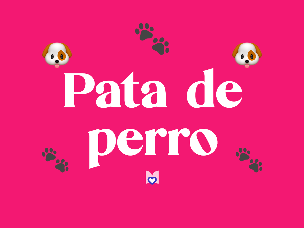 Pata de perro significado frase mexicana Mexicanismo